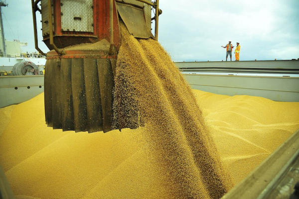 Sorriso produz mais de 2 milhões de toneladas de soja e é o maior produtor do Brasil